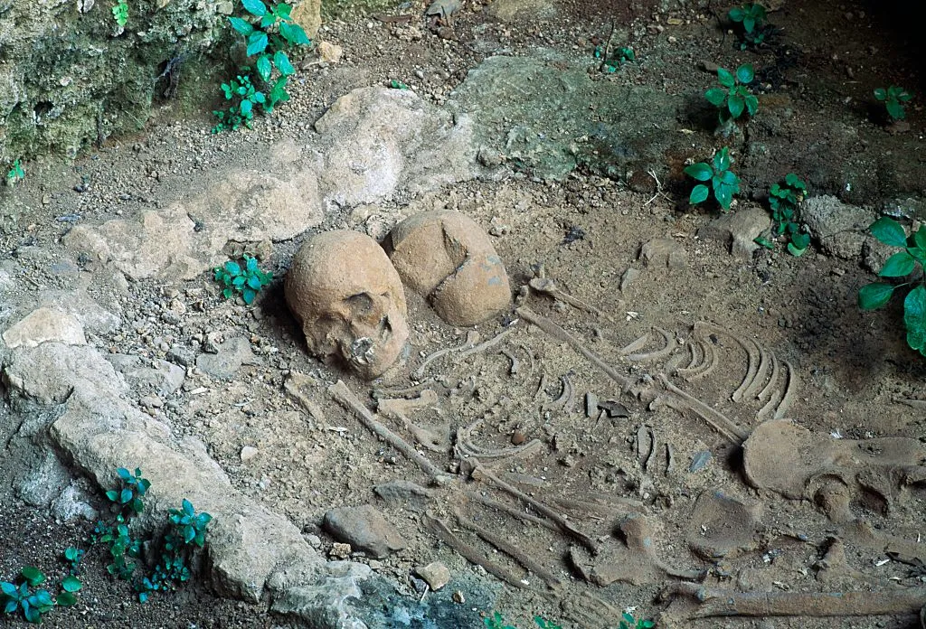 Раскрыта древняя археологическая тайна: родство и генетические болезни