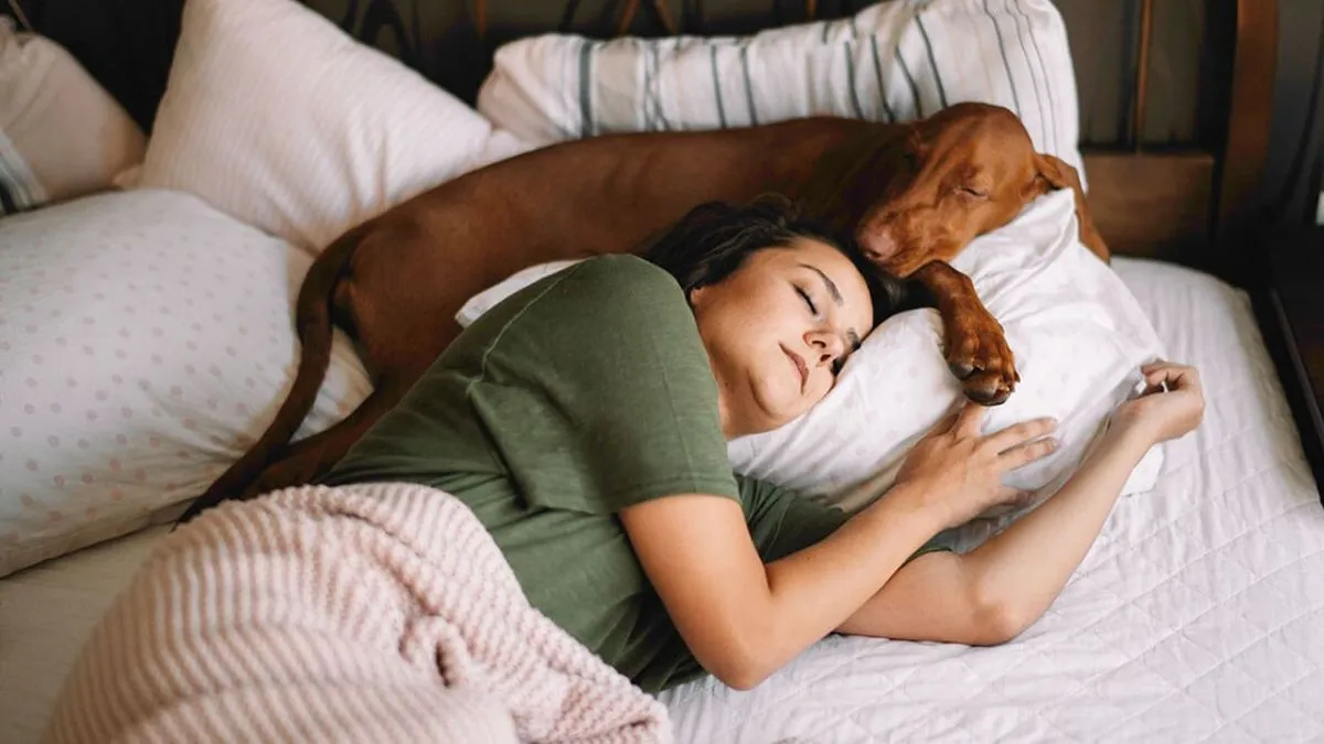 Люди и питомцы — единая крепость: психология совместного сна