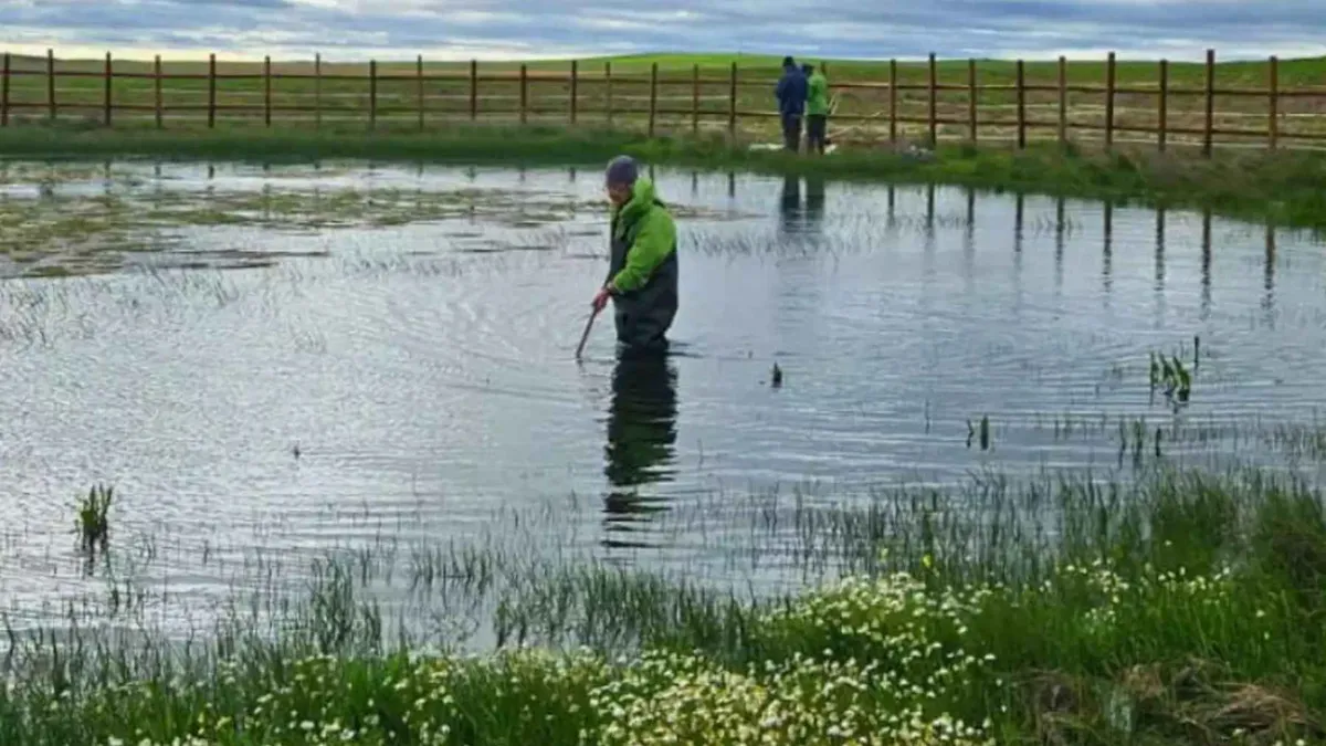 Медитерранские временные пруды: экологическая ценность и проблемы сохранения